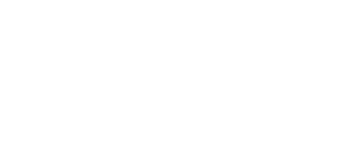 The official animefeed.net logo